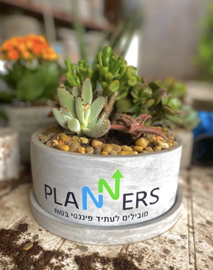 עציץ בטון בעבודת יד של ג'מה-טר 13