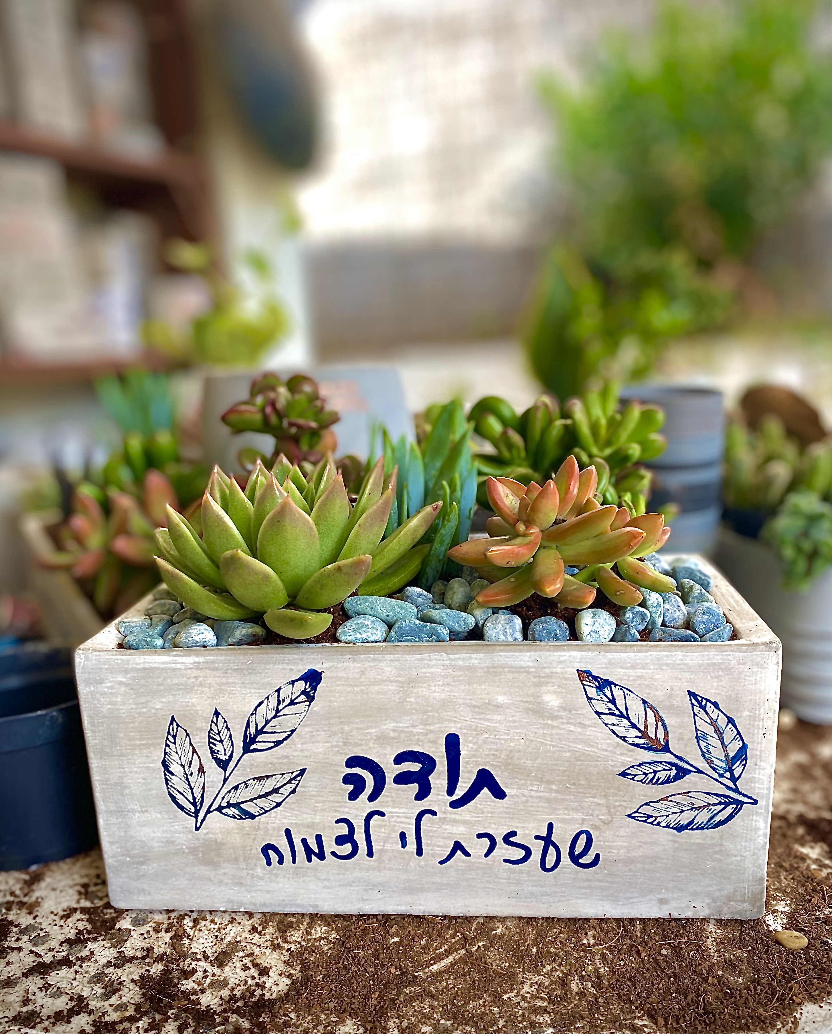 עציץ בטון בעבודת יד של ג'מה-טר 5
