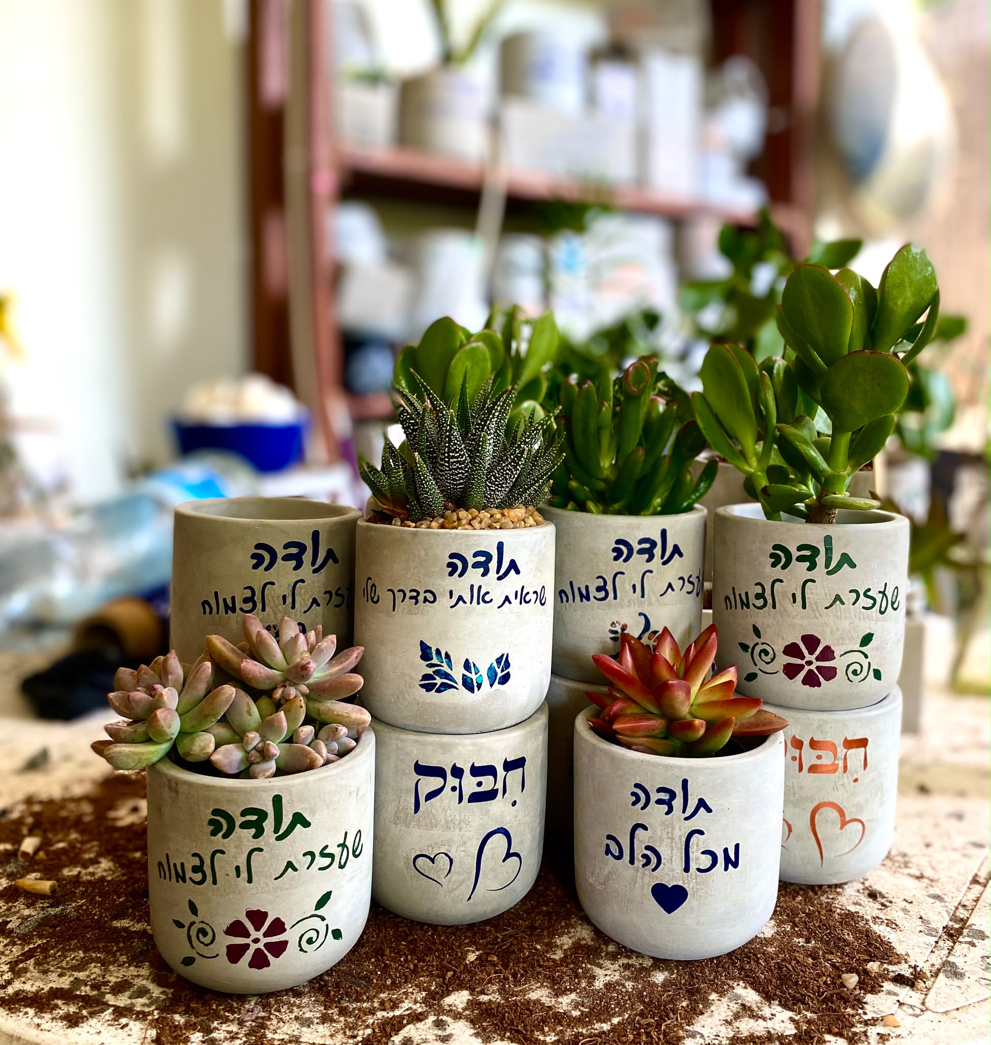 עציץ בטון בעבודת יד של ג'מה-טר 24