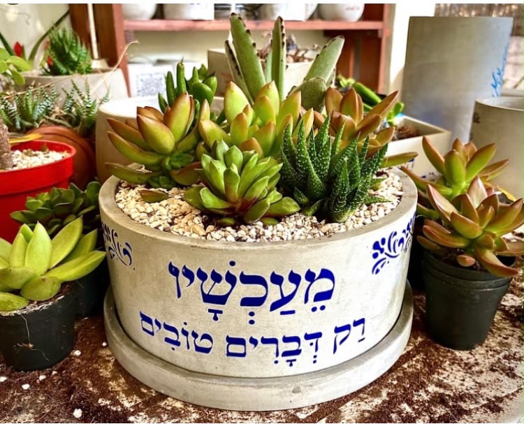 עציץ בטון בעבודת יד של ג'מה-טר 27