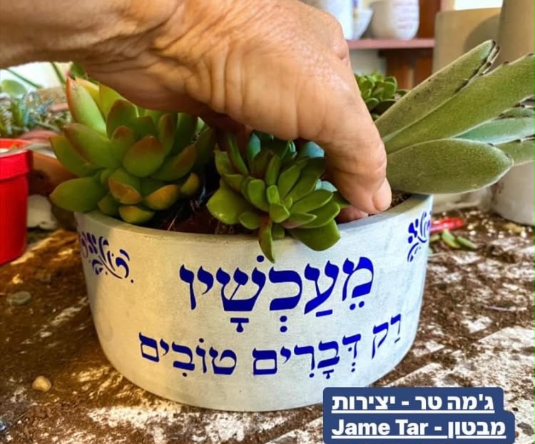 עציץ בטון בעבודת יד של ג'מה-טר 30