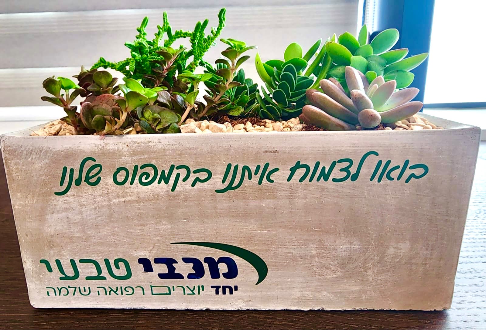עציץ בטון בעבודת יד של ג'מה-טר 36