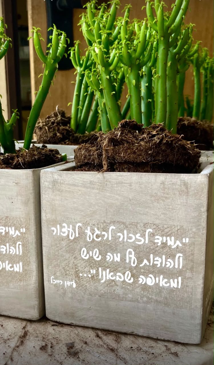 עציץ בטון בעבודת יד של ג'מה-טר 39