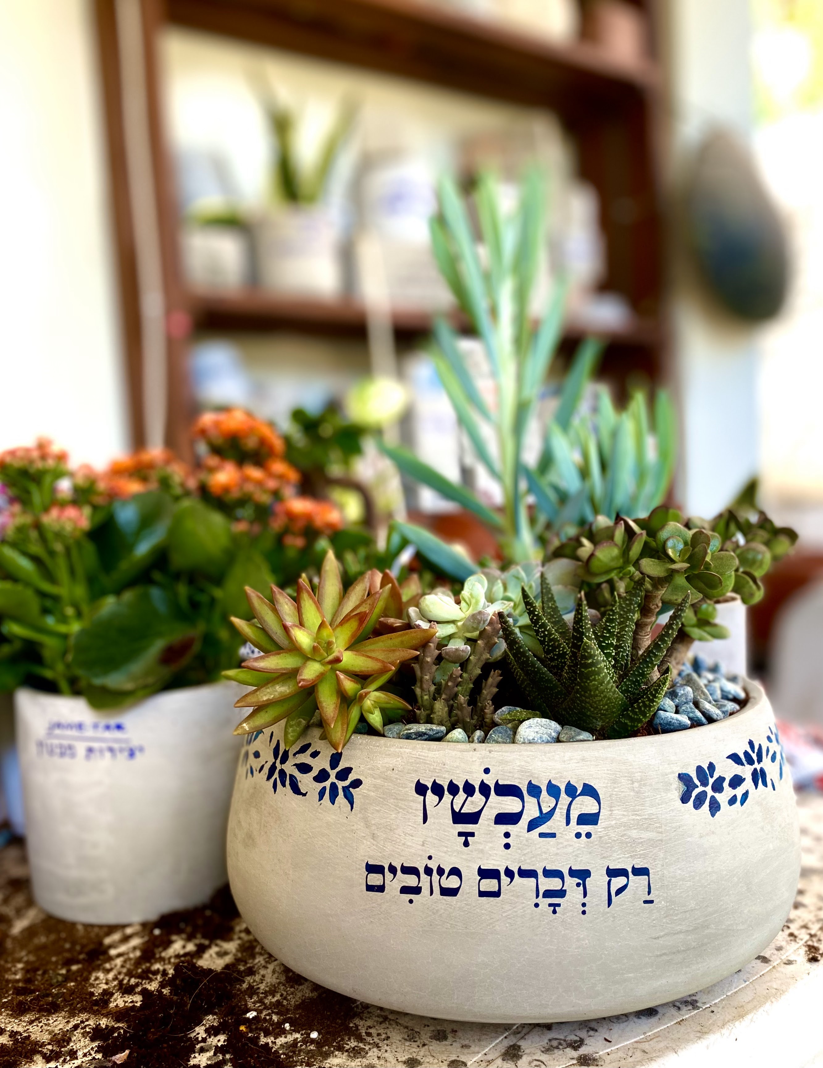 עציץ בטון בעבודת יד של ג'מה-טר 6