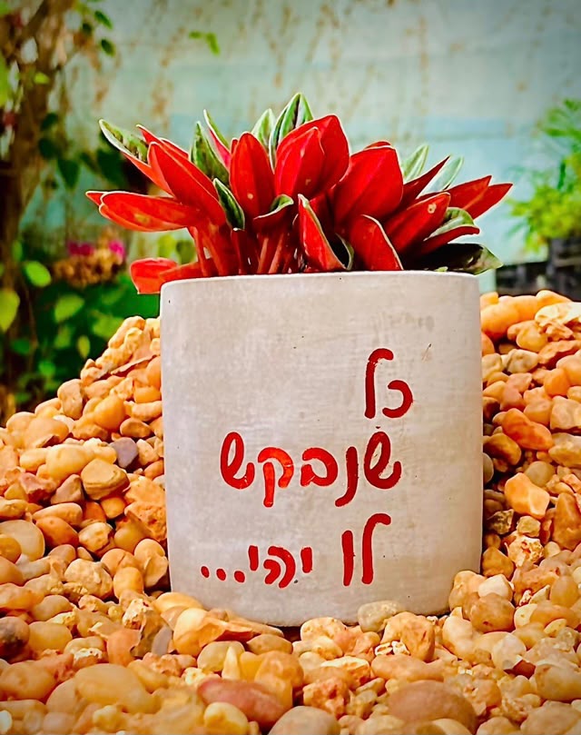 עציץ בטון בעבודת יד של ג'מה-טר 18