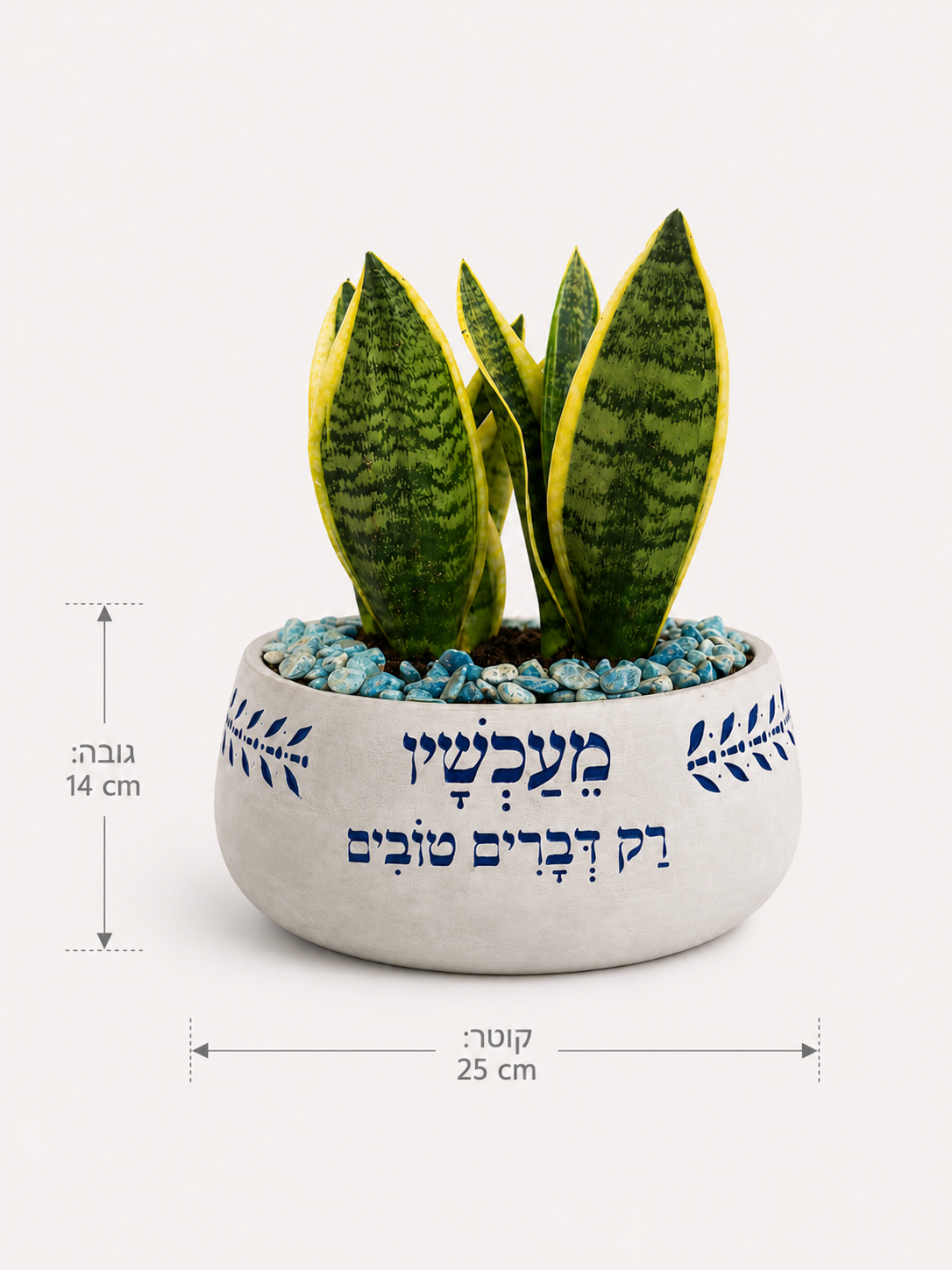 אגם