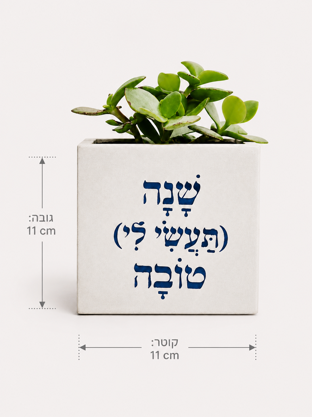 קובייה