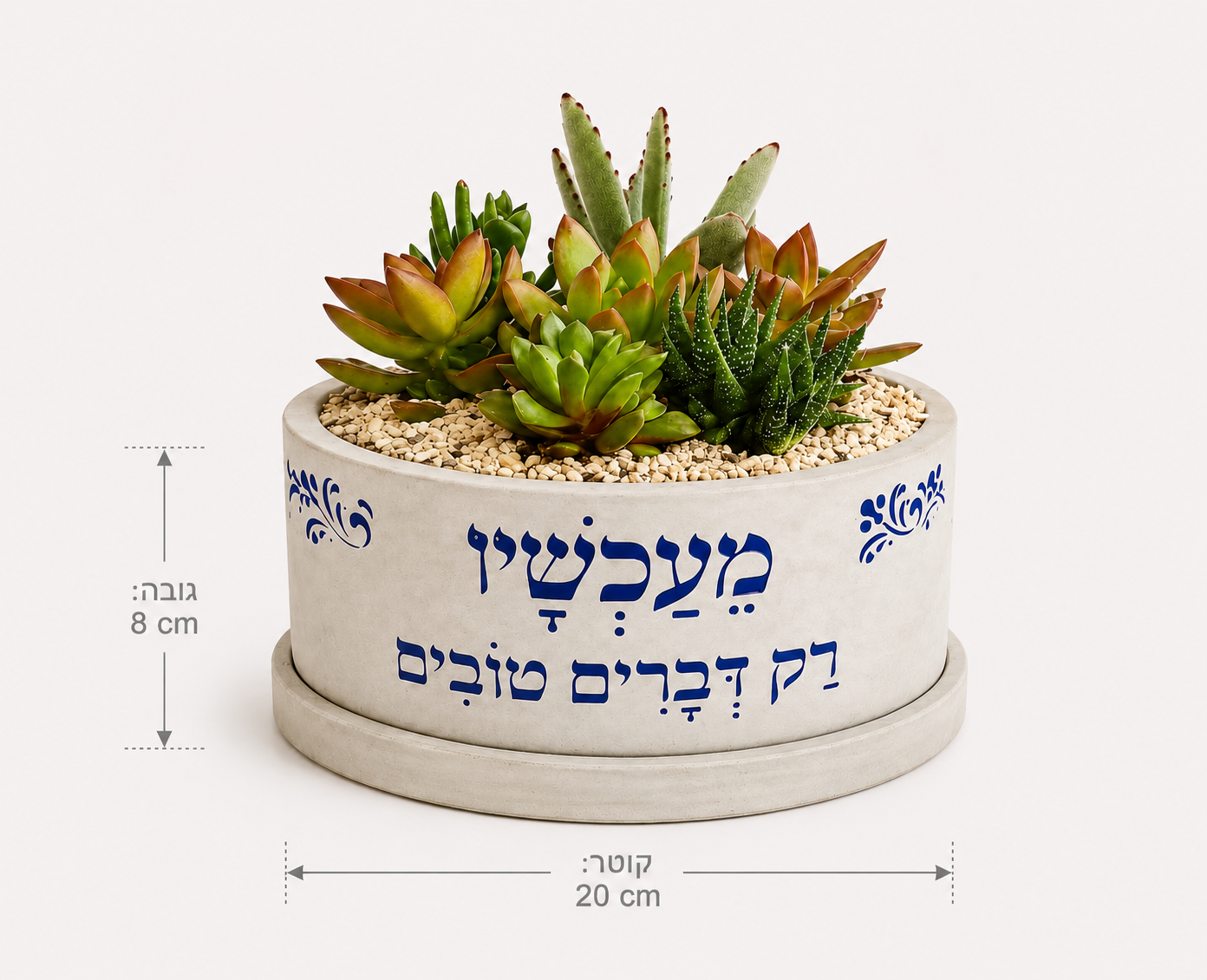 חמניה