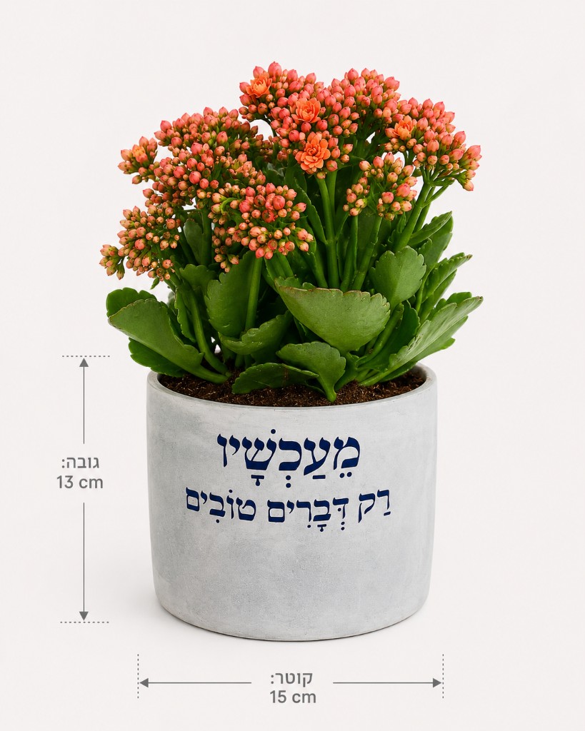 צורן