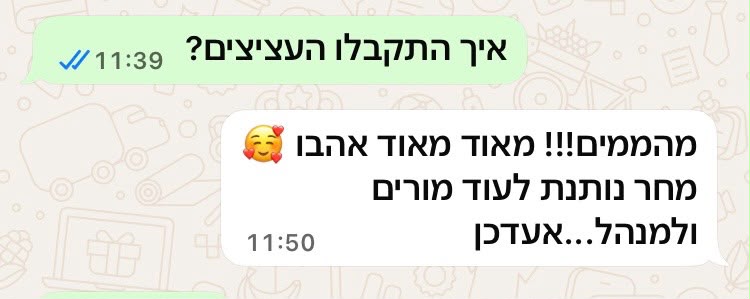 צילום מסך הודעה מאת לקוחה מרוצה